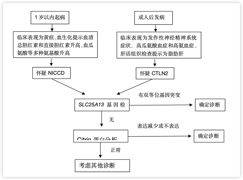 瓜氨酸血症Ⅱ型诊疗流程图