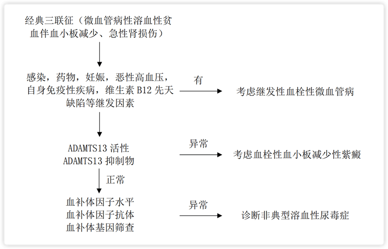 非典型溶血性尿毒症综合征诊疗流程