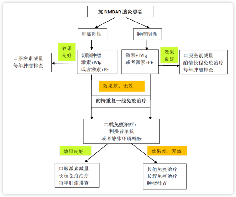 抗NMDAR抗体脑炎的免疫治疗程序