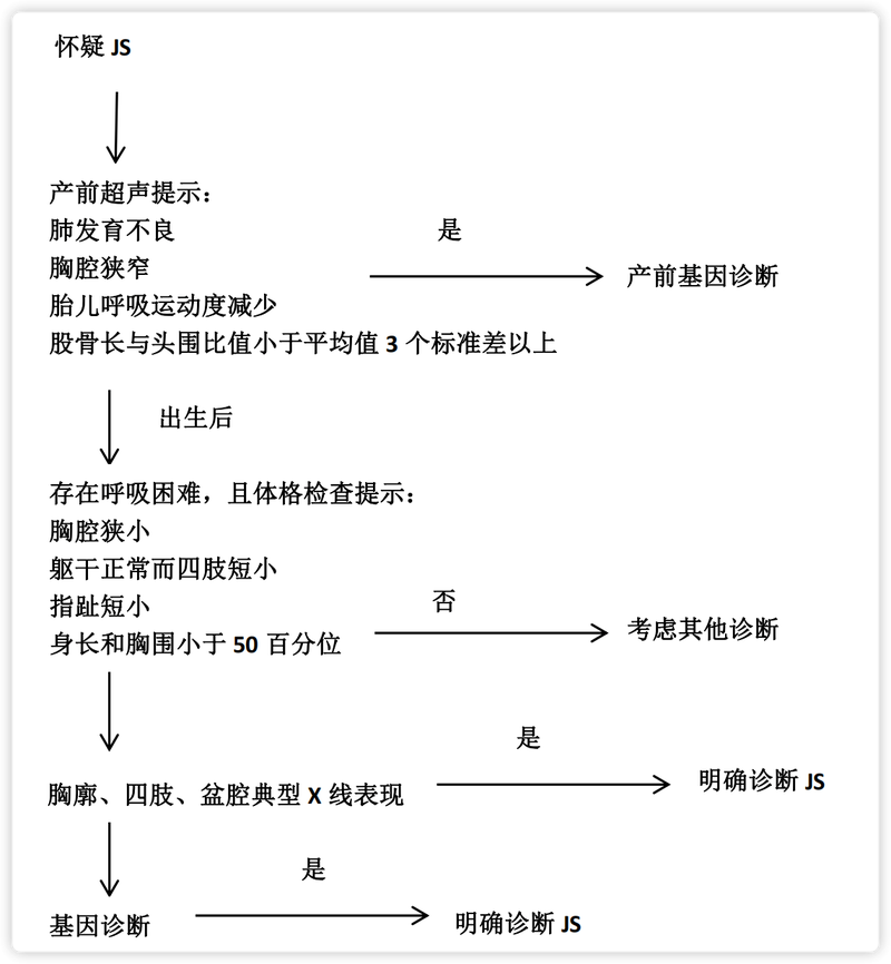 JS 诊疗流程